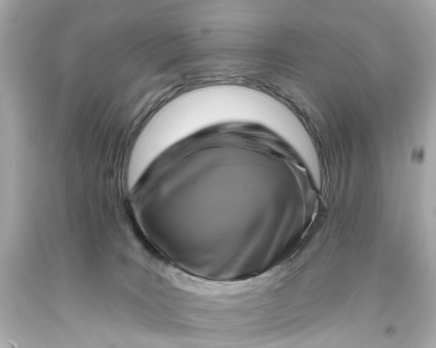 X0000093580035200710291110