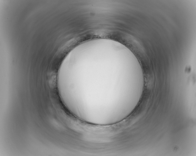 X0000093580036200710291110