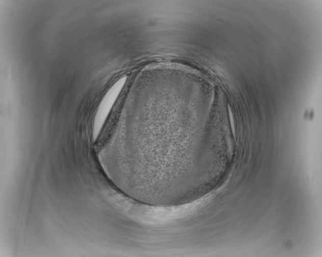 X0000093580037200710291110