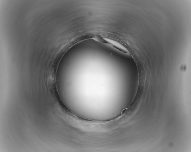 X0000093580040200710291110