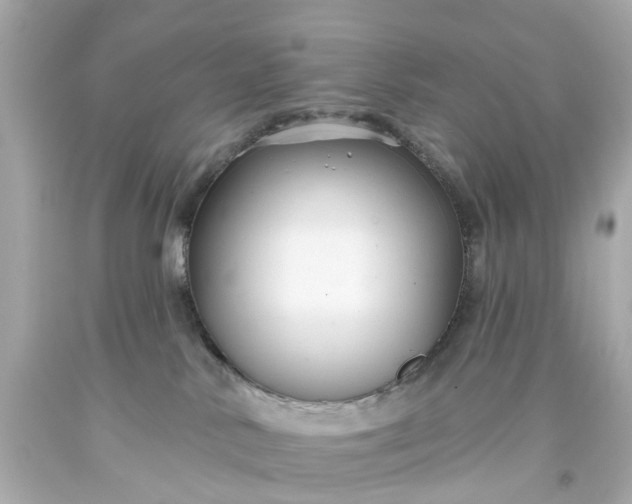 X0000093580042200710291110