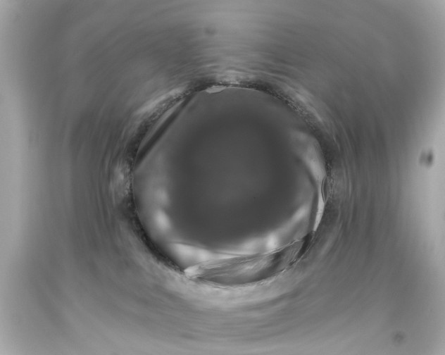 X0000093580043200710291110