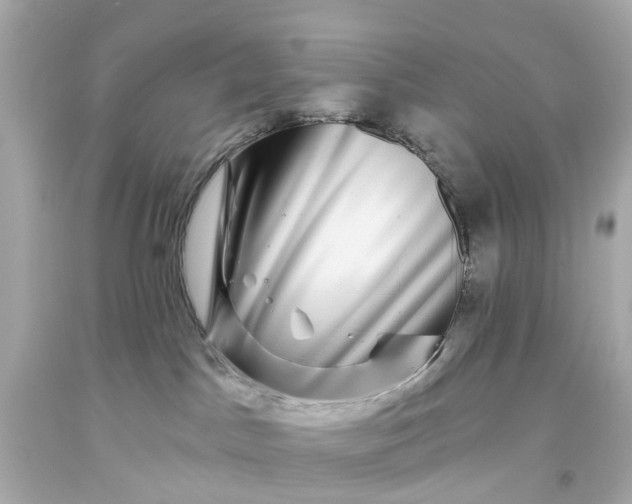 X0000093580045200710291110