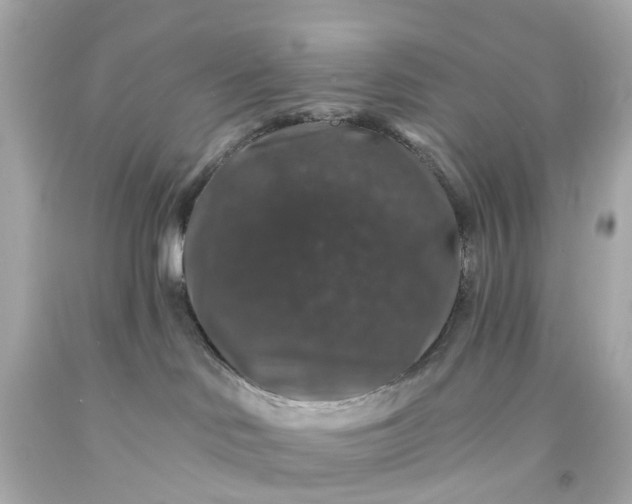 X0000093580046200710291110