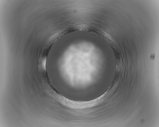 X0000093580047200710291110