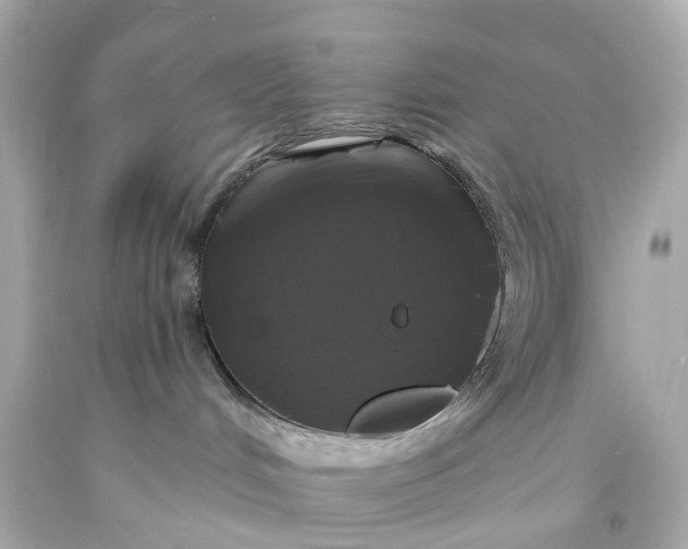 X0000093580048200710291110