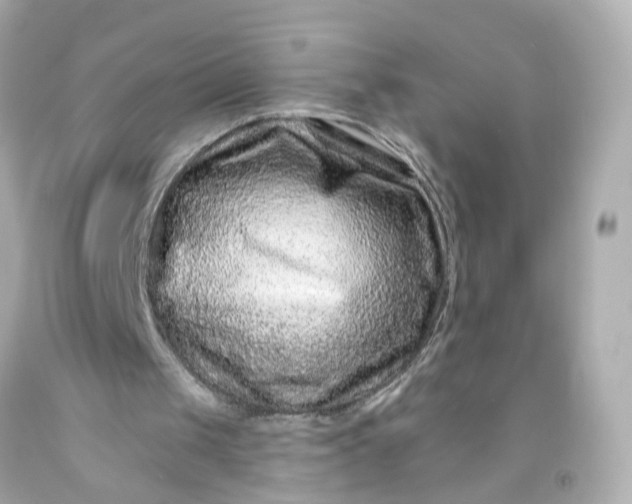 X0000093580049200710291110