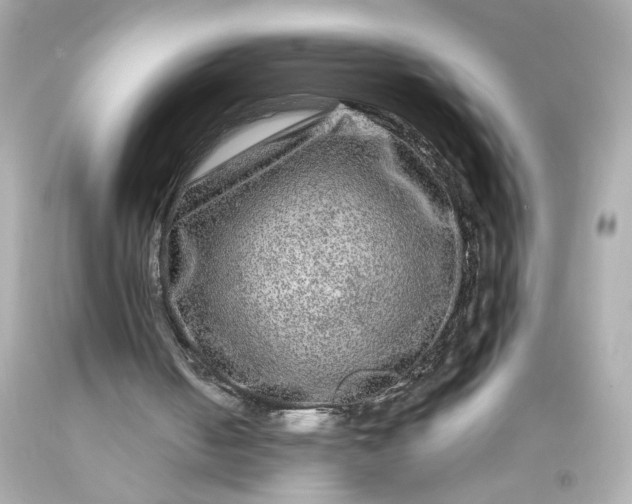 X0000093580050200710291110