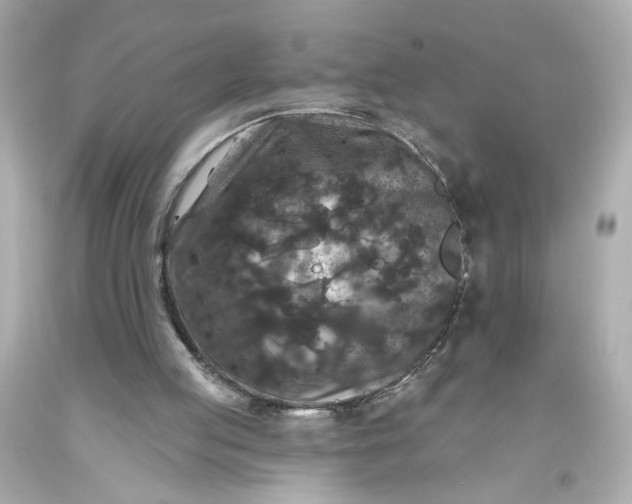 X0000093580053200710291110