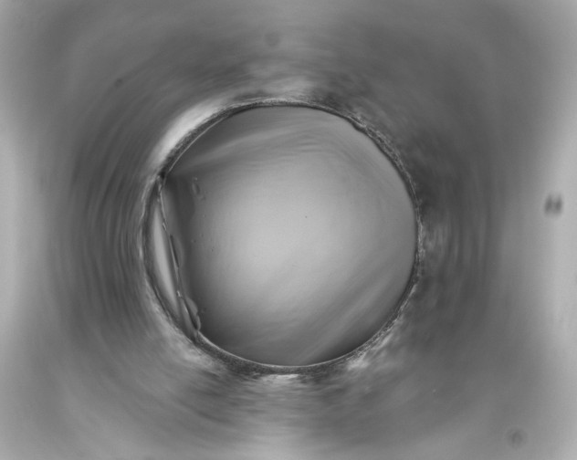 X0000093580054200710291110