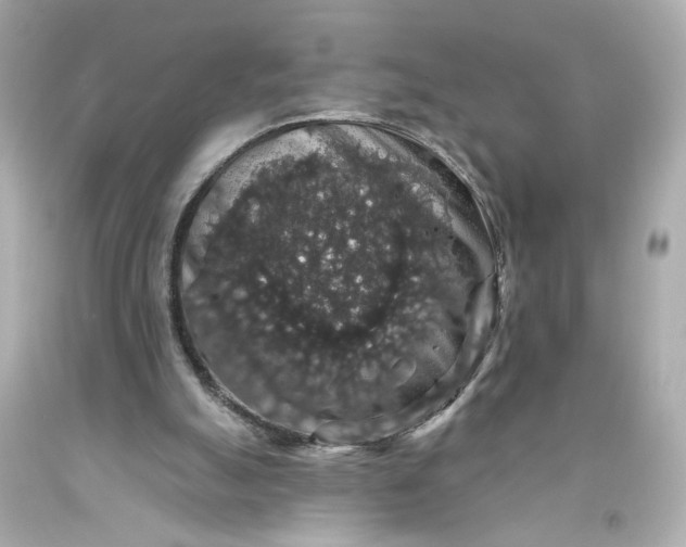 X0000093580055200710291110