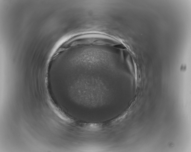 X0000093580056200710291110