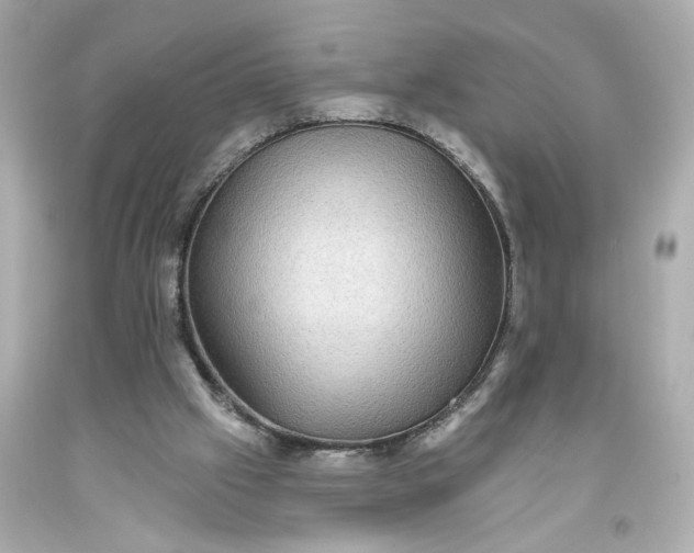 X0000093580057200710291110