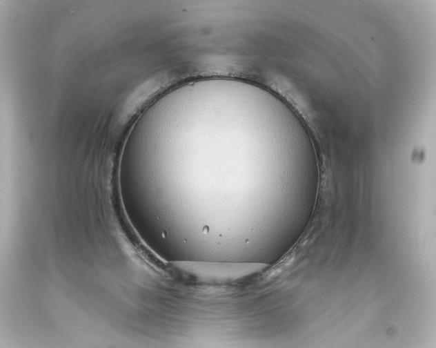 X0000093580058200710291110