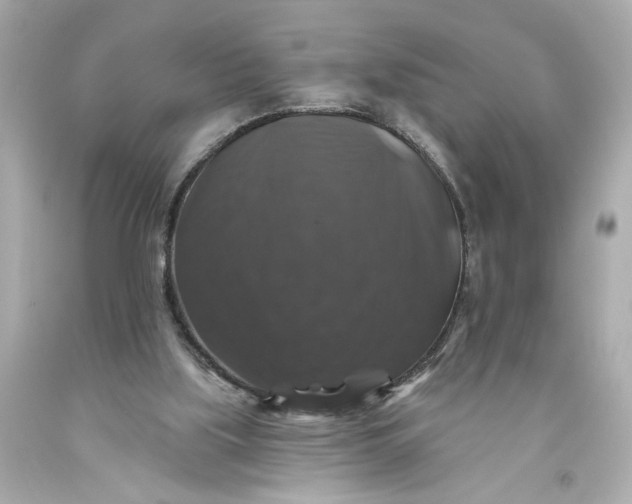 X0000093580059200710291110