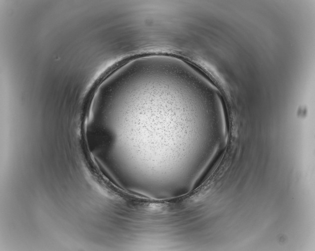 X0000093580060200710291110