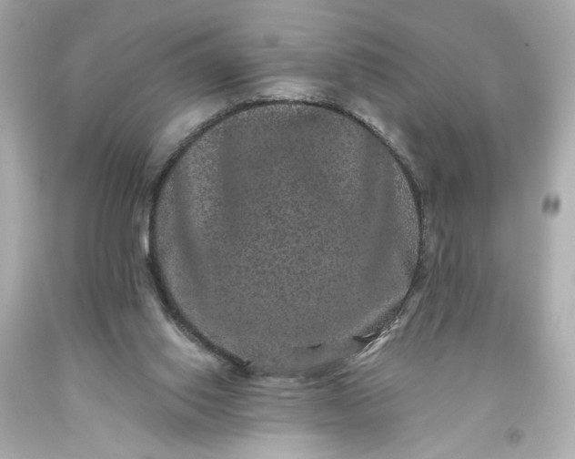 X0000093580062200710291110