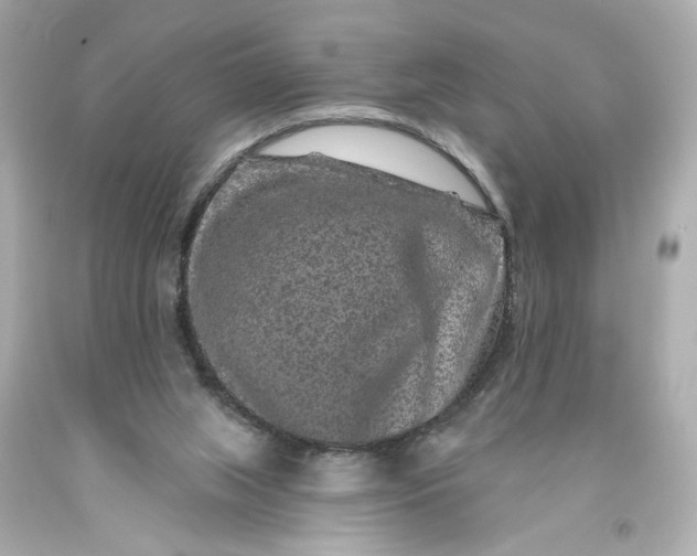 X0000093580063200710291110