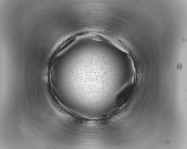 X0000093580064200710291110