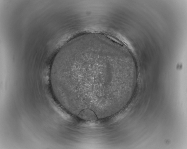 X0000093580065200710291110