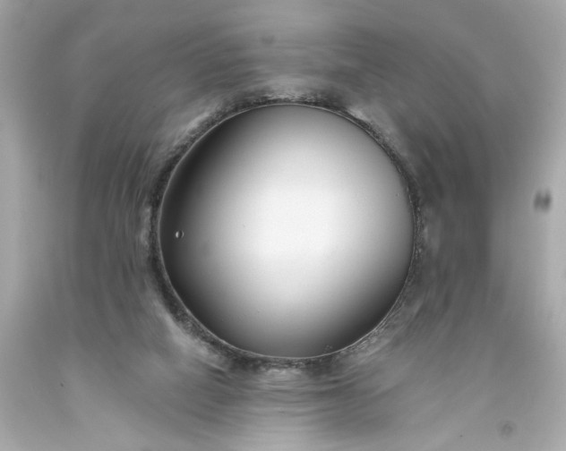 X0000093580066200710291110