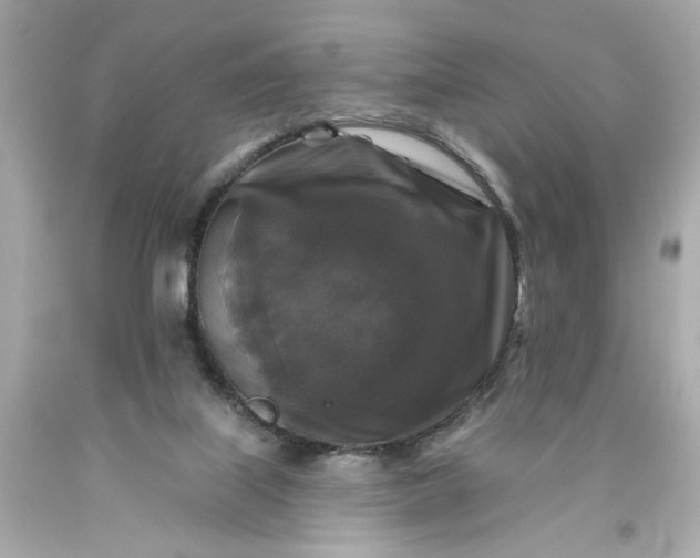 X0000093580067200710291110