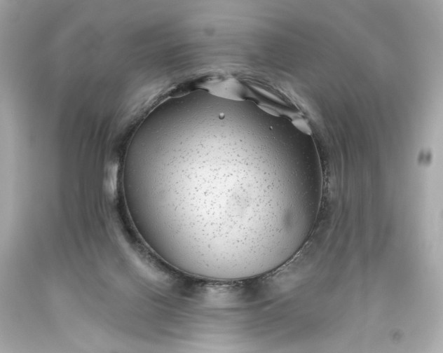 X0000093580070200710291110