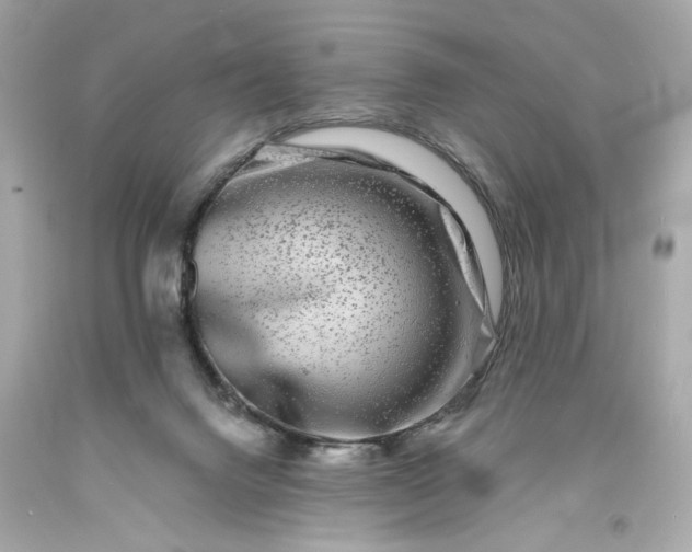 X0000093580072200710291110