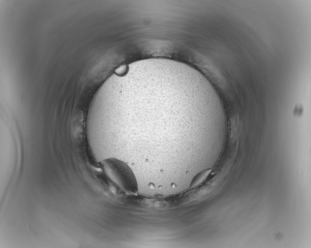 X0000093580073200710291110