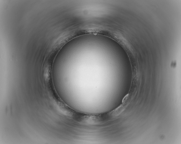 X0000093580074200710291110