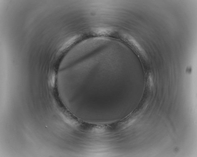 X0000093580076200710291110