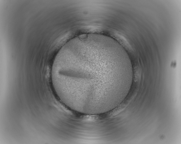 X0000093580077200710291110