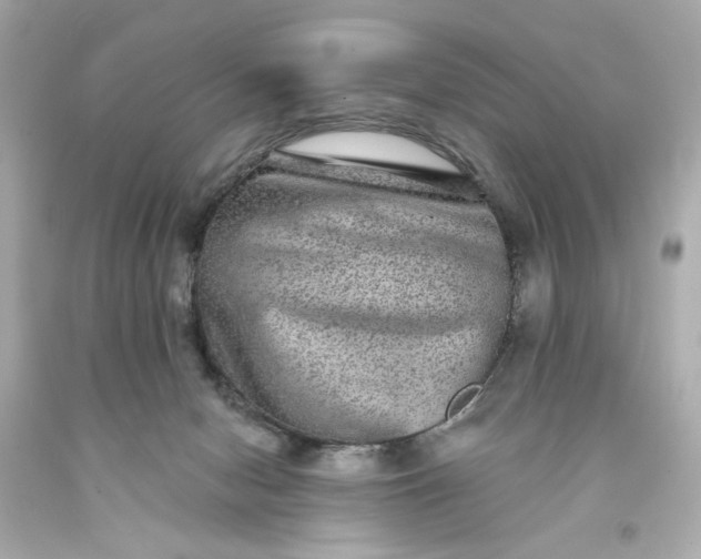 X0000093580078200710291110