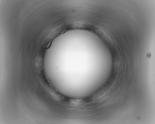 X0000093580079200710291110