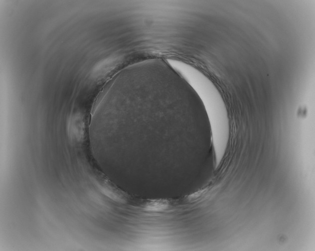 X0000093580080200710291110