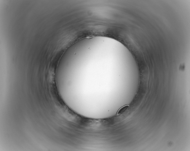 X0000093580083200710291110