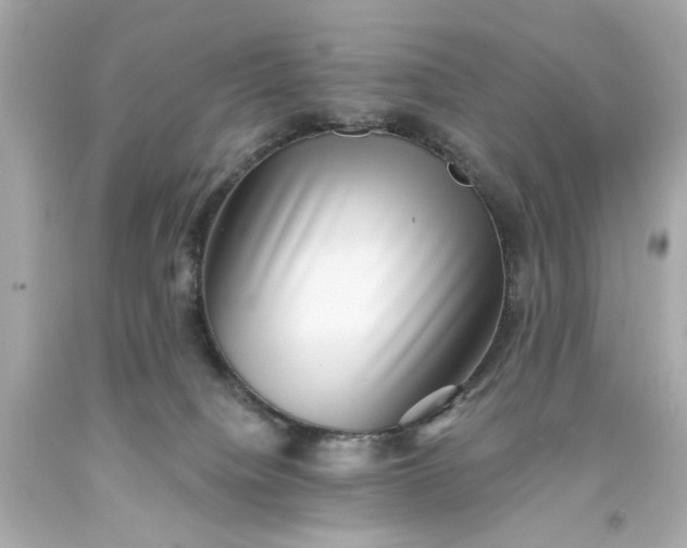 X0000093580084200710291110