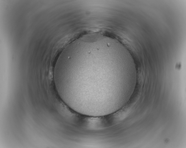 X0000093580085200710291110