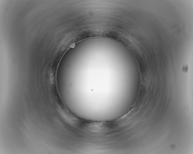 X0000093580086200710291110