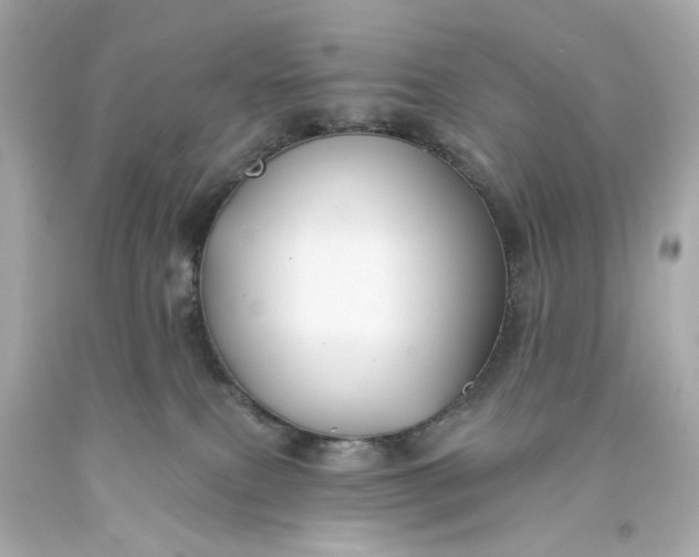 X0000093580087200710291110