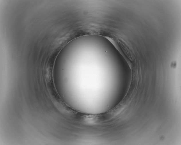 X0000093580088200710291110