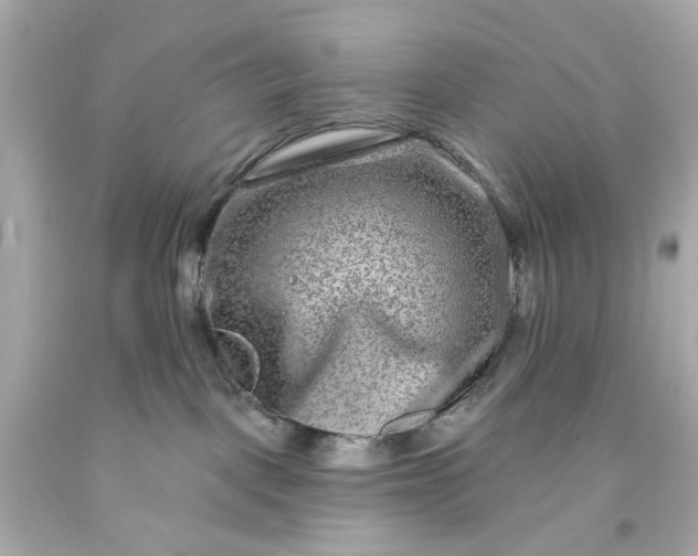 X0000093580093200710291110