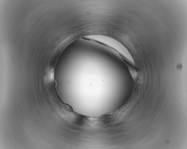 X0000093580095200710291110