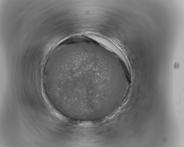 X0000093580097200710291110