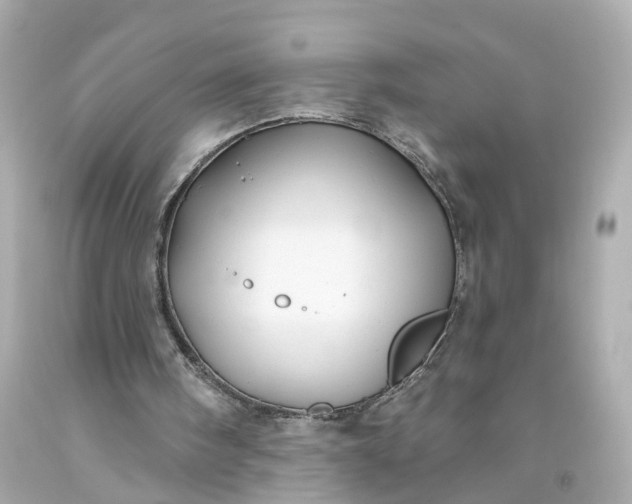 X0000093580098200710291110