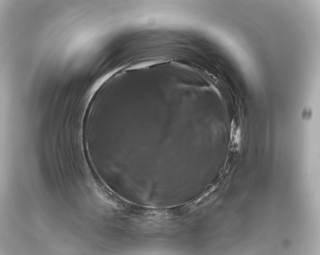 X0000093580099200710291110