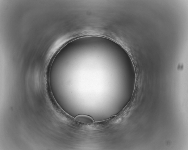 X0000093580103200710291110