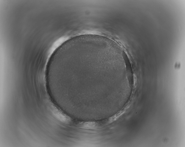 X0000093580104200710291110