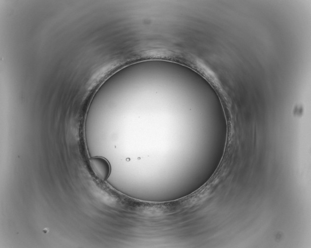 X0000093580106200710291110