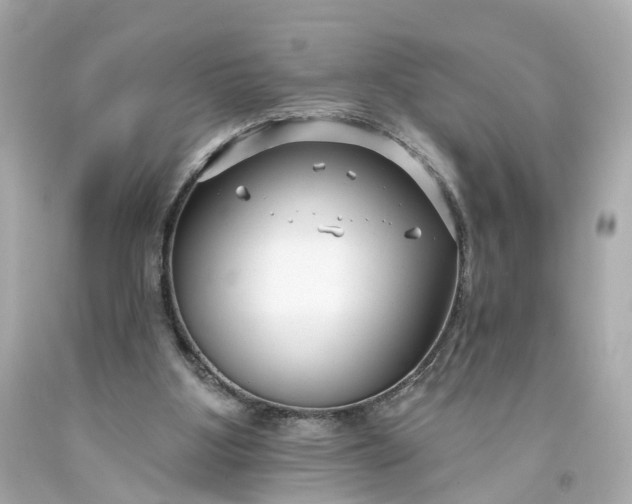 X0000093580107200710291110